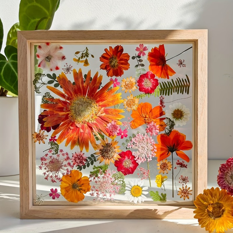 Photography Hacks - Dubbelzijdige transparante houten fotolijsten, 3D acryl