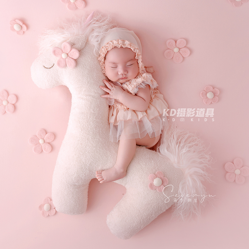 Schattig eenhoorn thema pasgeb - Photography Outfits recensie en prijs